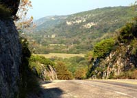 Texas Hill Country Vista