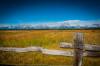 Grand Tetons GTYNO2014_106.JPG