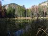 DSCF0110.JPG