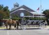 Horses_by_Museum.JPG
