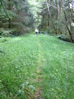 Trail Cummins Creek