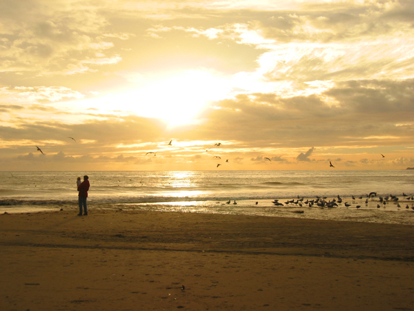 Seacliff Beach,