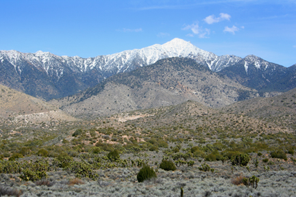 Walker Pass, March 2006