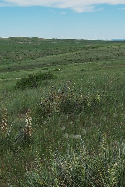 Little Bighorn Battlefield