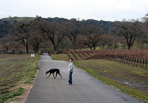 Cambria
