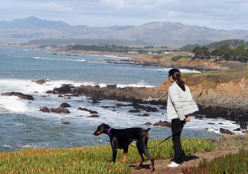 Cambria