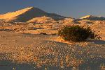 Mojave NP
