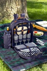Picnic backpack cooler