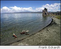 Mono Lake, California