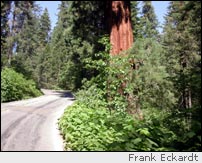 California State Route 198