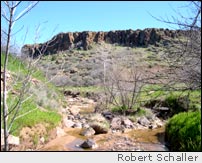Stream near Arcosanti