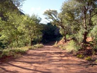 Back road to Indian Gardens