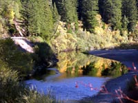 Eel River view