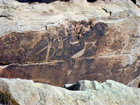 Petrified Forest Petroglyphs
