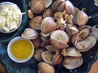 Cedar Key clams