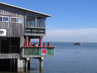 Cedar Key vista