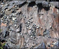 Pahoehoe lava