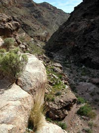 Monarch Canyon