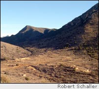 Apache Pass