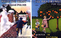 Florida postcard