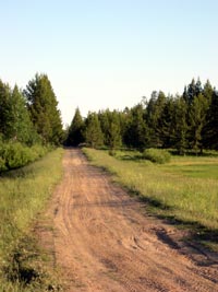 Old railroad bed