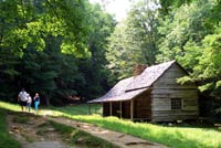 Noah "Bud" Ogle's Farm