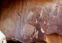 Bison petroglyphs
