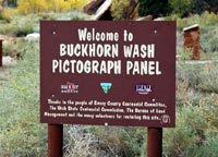 Buckhorn Wash