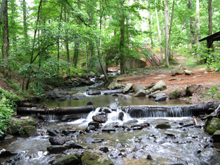 Road Trip through Georgia