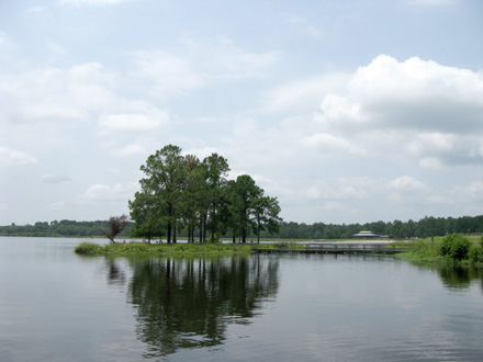 Reed Bingham State Park