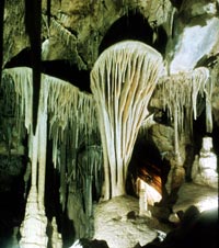 Lehman Caves