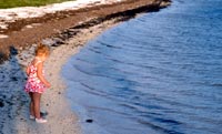 Fun at the seashore