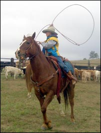 Young cowboy