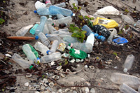 Trash on the beach