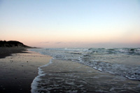 Trash on the beach