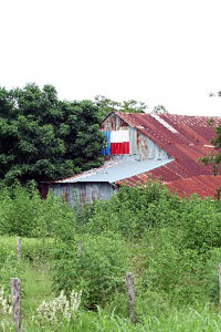 Texas Barn