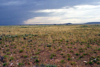 Ranchland