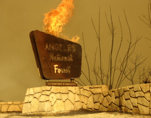 ANF-Sign-Burning-600 Sign of the Times