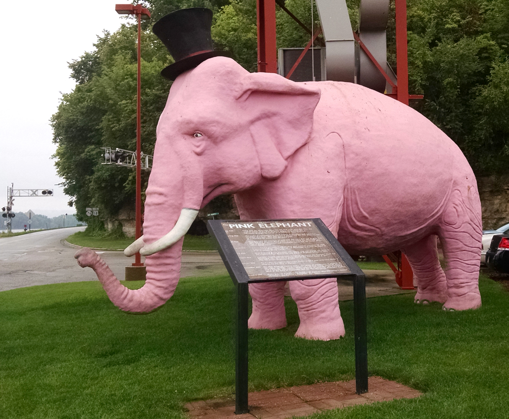 elephant