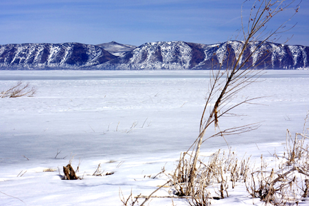 bear lakel