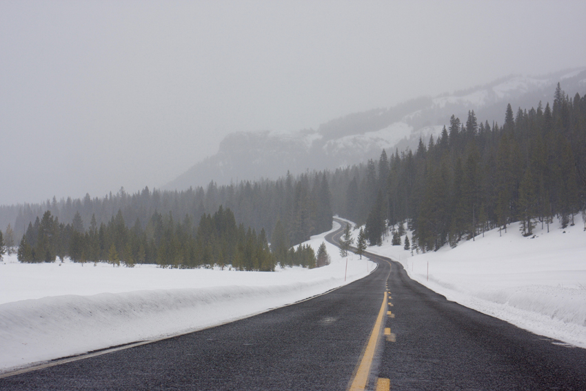 yellowstone road