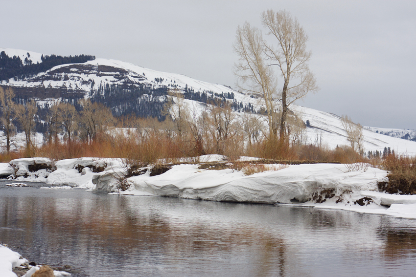 soda butte creek