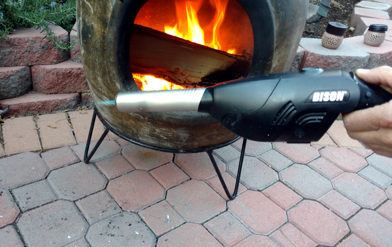 bison with flame