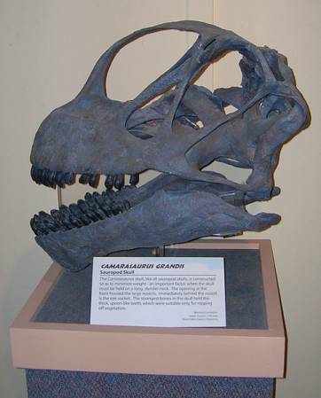 dinosaur