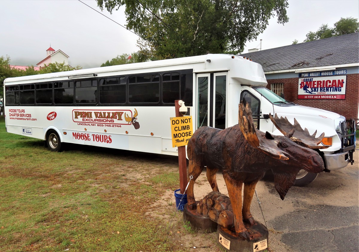 Pemi Valley Moose Tours