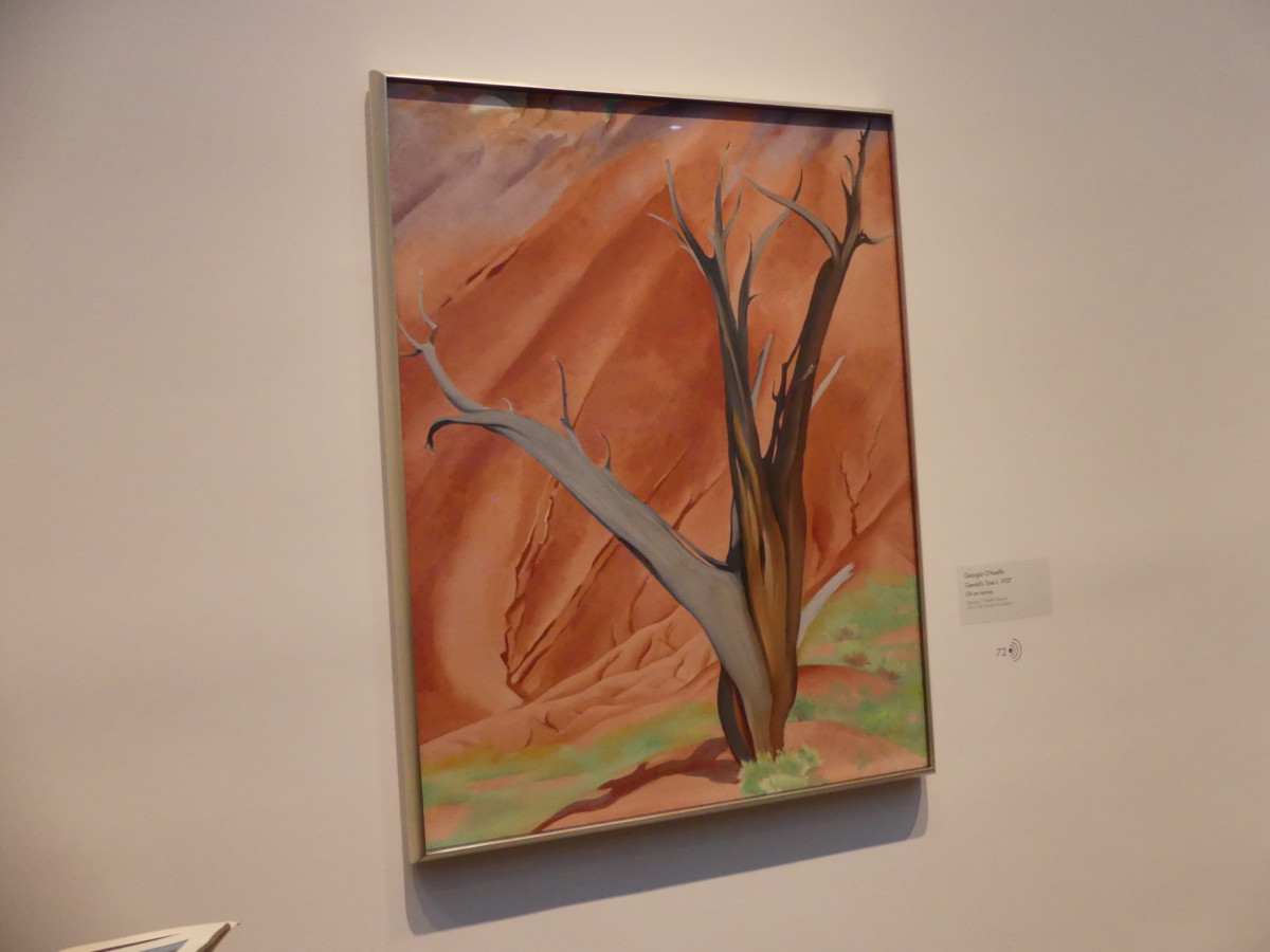 One of O'Keeffe's New Mexico paintings at museum