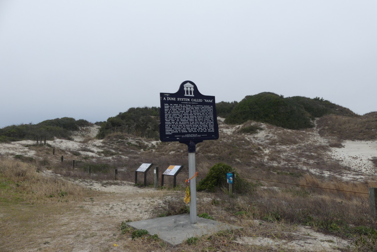 Marker at NaNa on American  Beach
