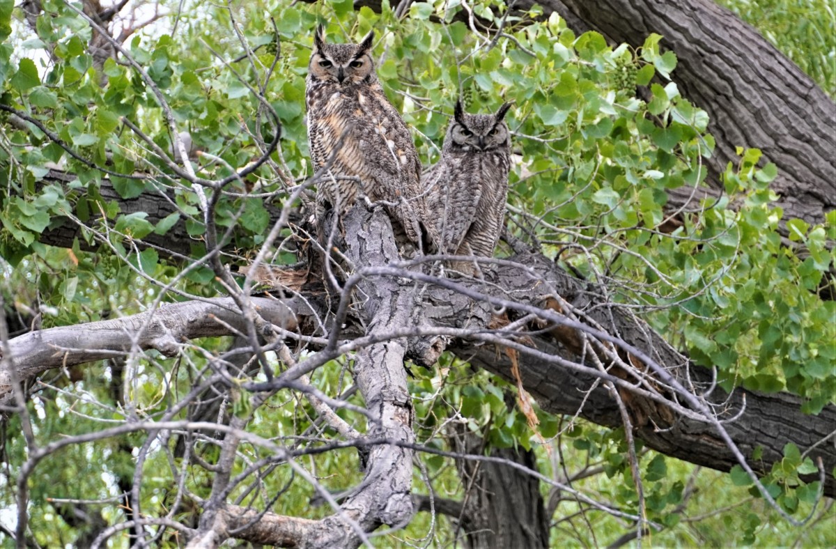 Rancho San Rafael Regional Park