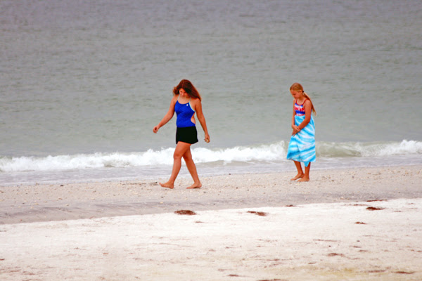 shellers on Caladesi Island