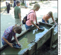Panning for gold